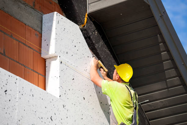 Best Wall Insulation Installation  in USA